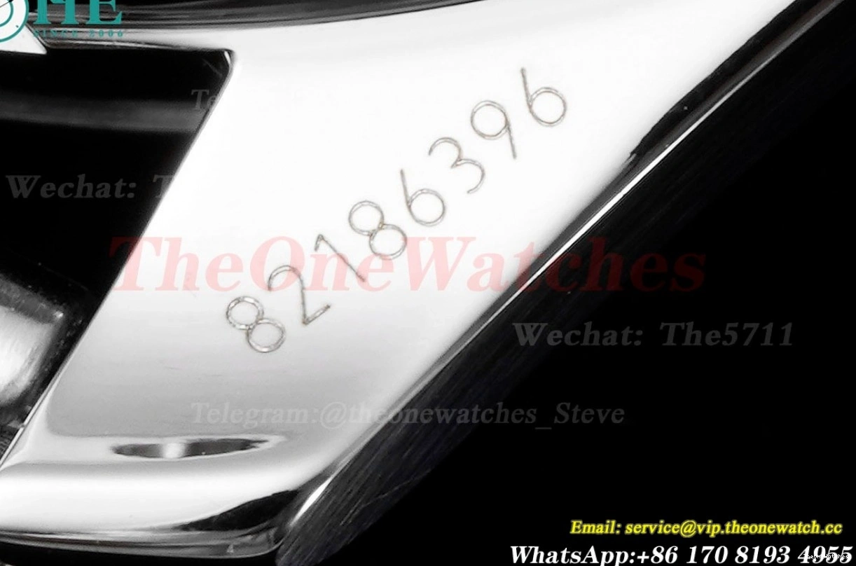 VSF 300m SS Bond 42mm 60th Dial Blue SS Seamaster A8806 James 0125